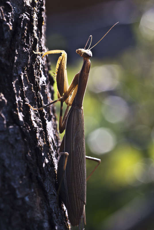 ����� ����� ����� ������� �� PhotoGeek.ru #�����