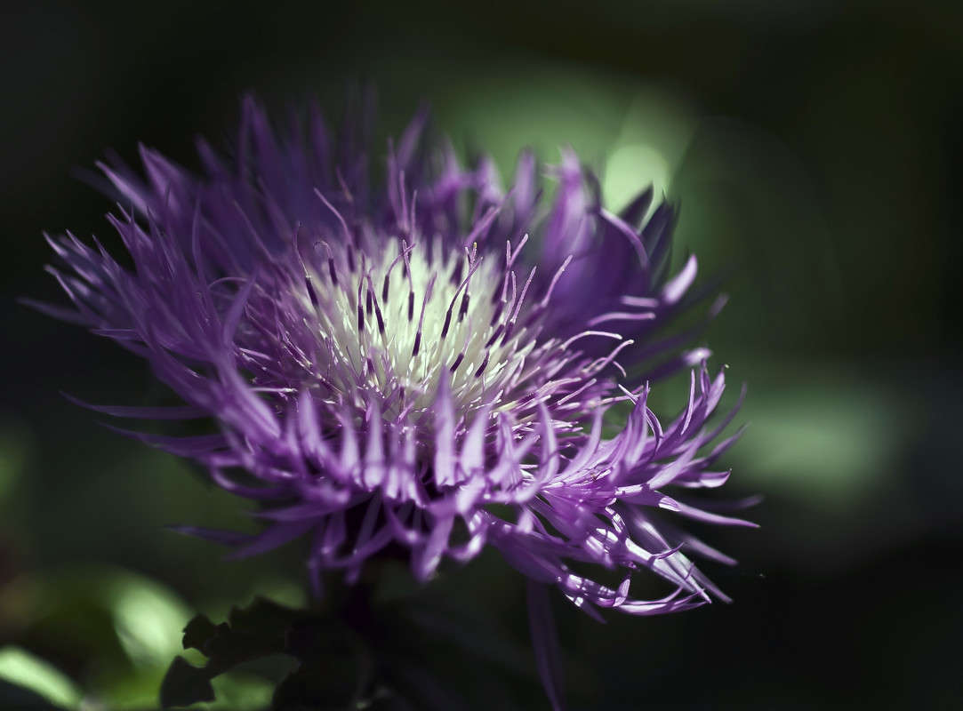 �� ������ ��������� � ������... ����� ����� ������� �� PhotoGeek.ru #�����