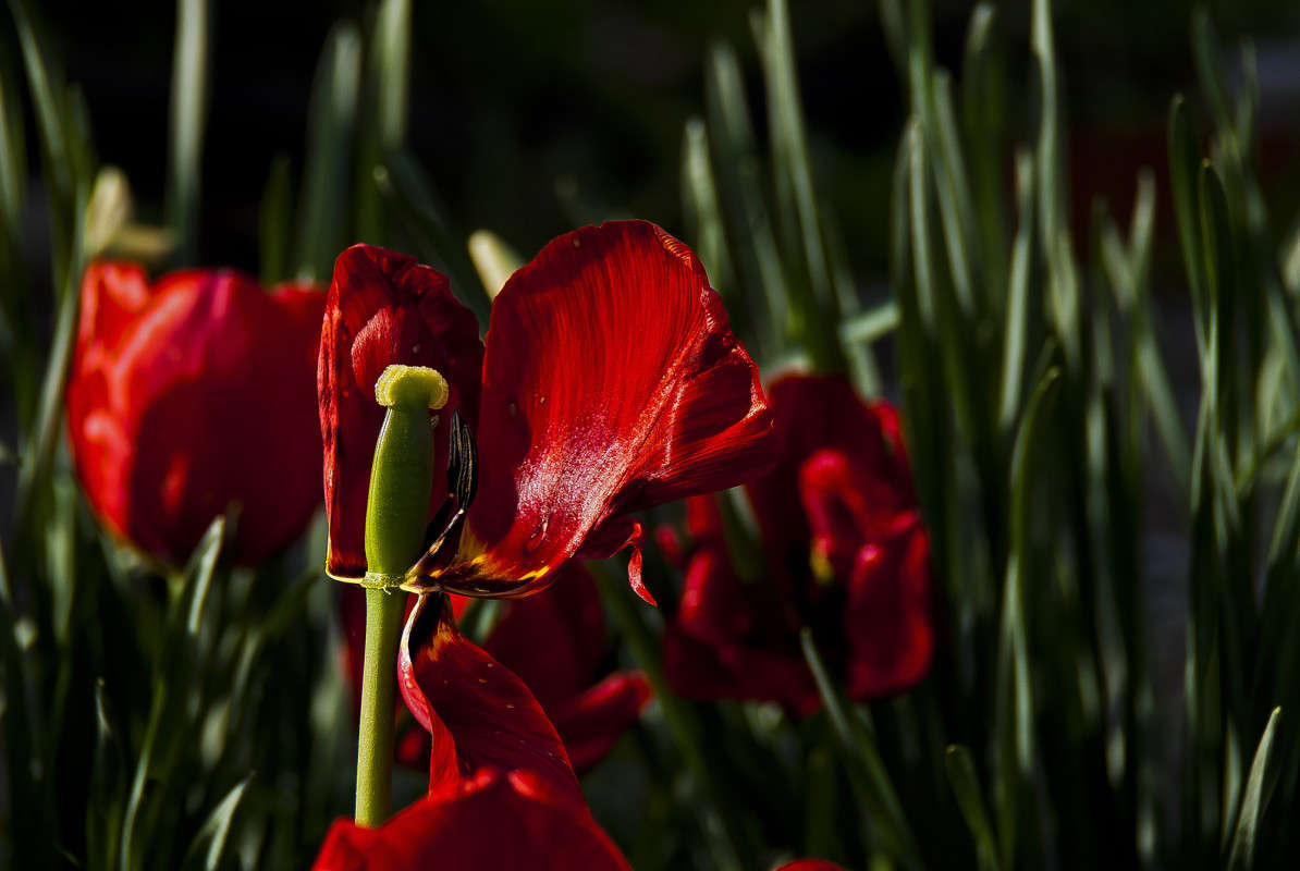 ����� ������� ����� ����� ������� �� PhotoGeek.ru #�����