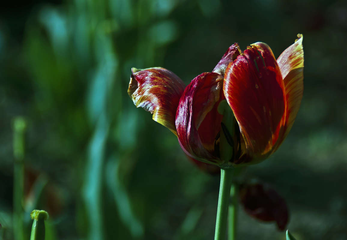 ����� ������� ����� ����� ������� �� PhotoGeek.ru #�����