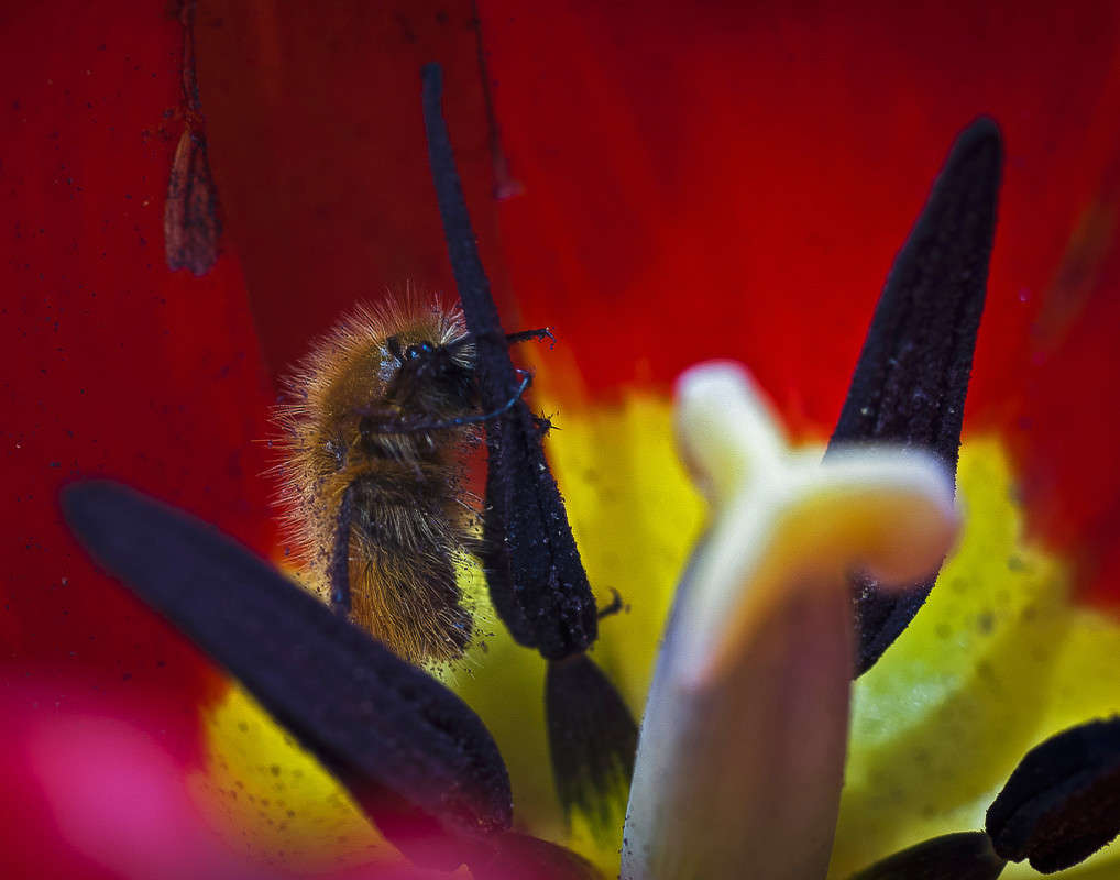 ���� ������ ����� - �� �� �����... ����� ����� ������� �� PhotoGeek.ru #�����