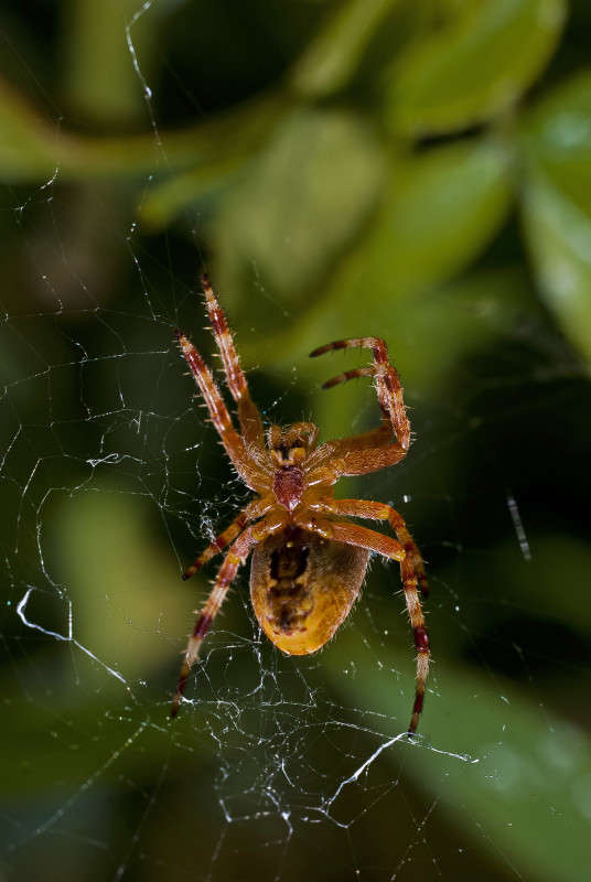 ������� ����� ����� ������� �� PhotoGeek.ru #�����