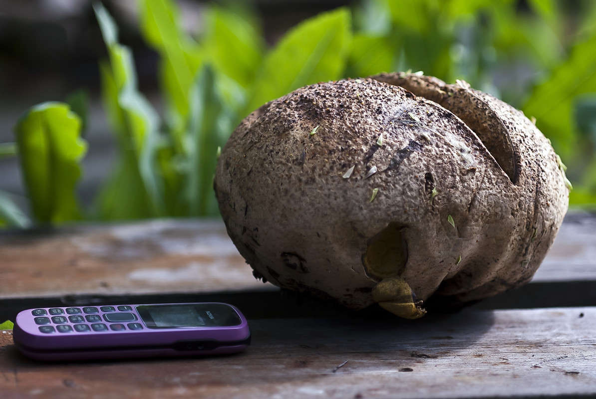 �������� (����) ����� ����� ������� �� PhotoGeek.ru #������ ��� �������