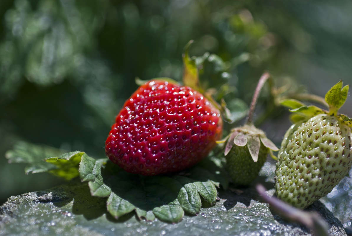 ��������� ����� ����� ������� �� PhotoGeek.ru #�����