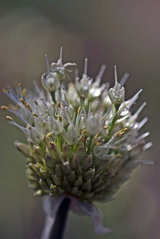 �������� ���� ����� ����� ������� �� PhotoGeek.ru #�����