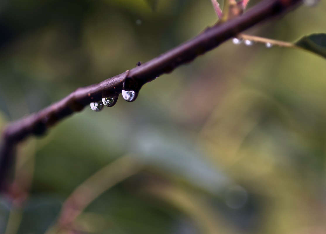 ���� ����� ����� ������� �� PhotoGeek.ru #������ ��� �������