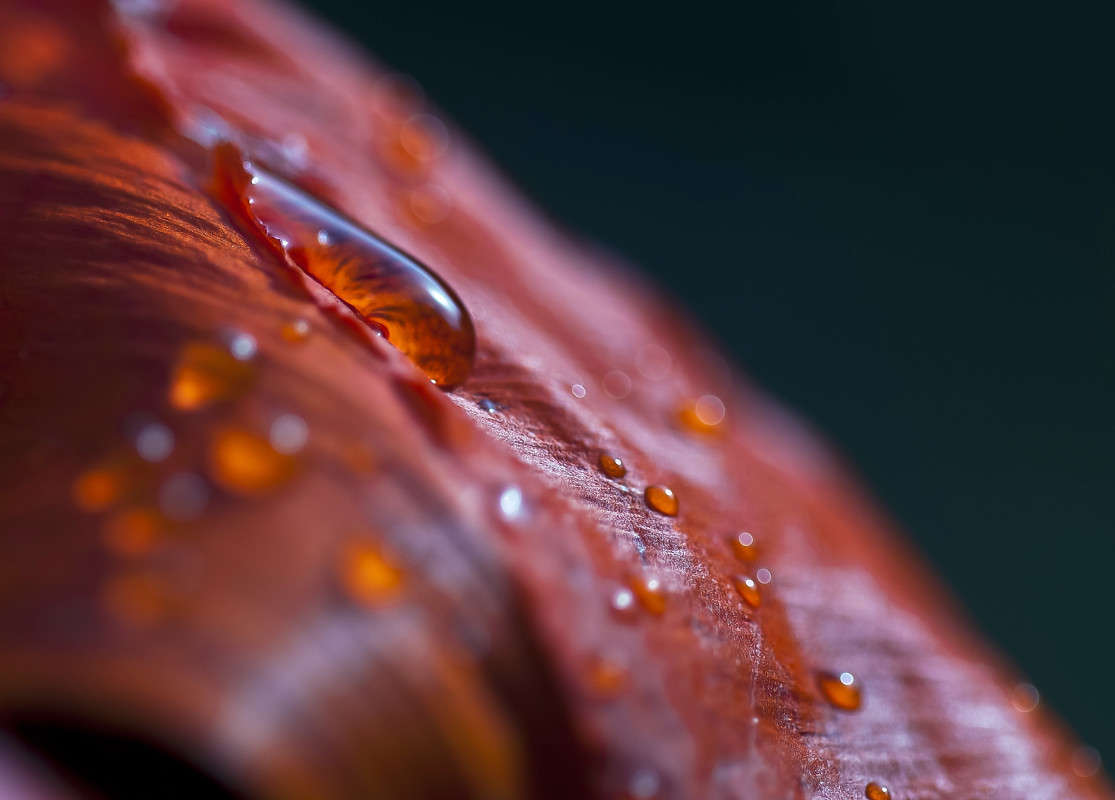 �� ������ ����� ����� ������� �� PhotoGeek.ru #�����