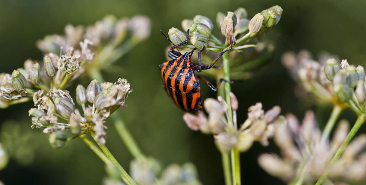 Ǹ��� ����� ����� ������� �� PhotoGeek.ru #�����