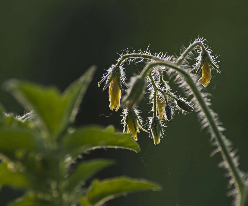 ���������� ���������� ����� ����� ������� �� PhotoGeek.ru #�����