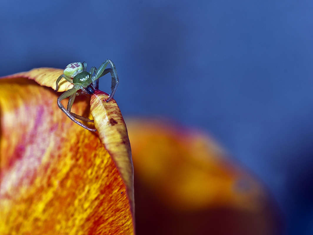 �� ���� ����� ����� ������� �� PhotoGeek.ru #�����