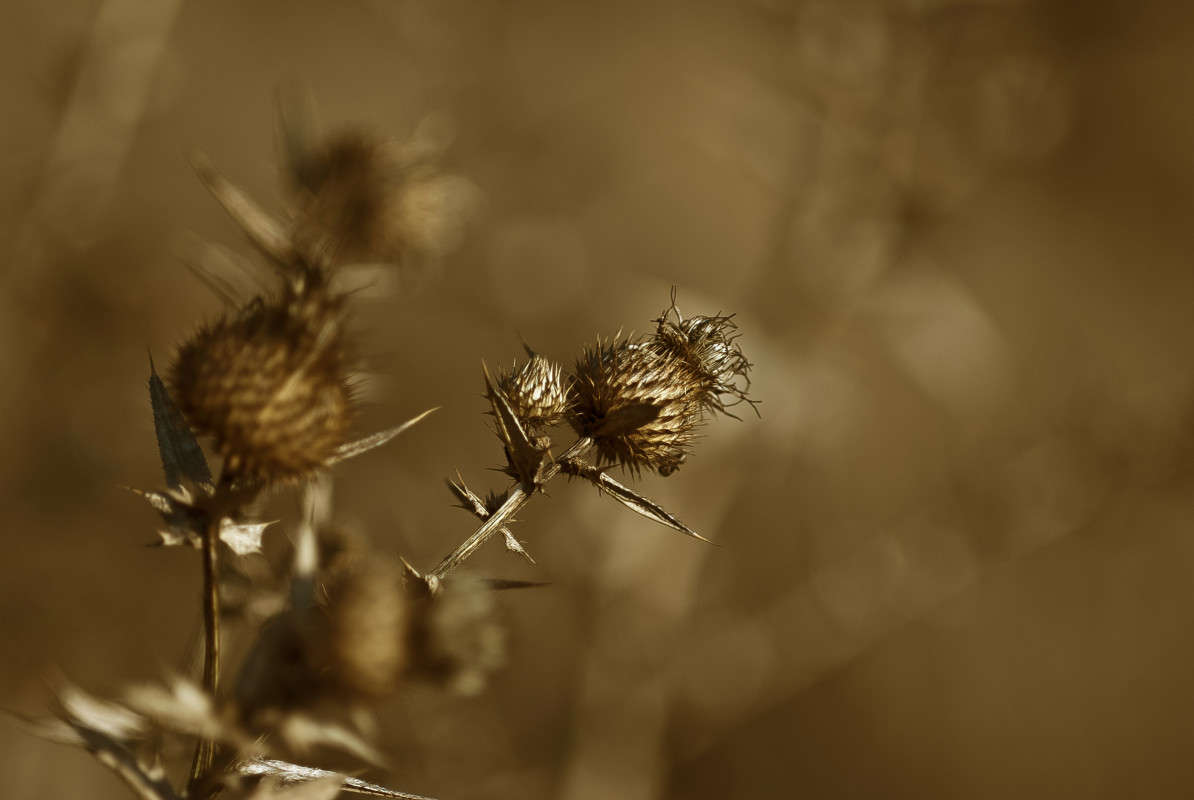 ������ ������� ����� ����� ������� �� PhotoGeek.ru #������ ��� �������