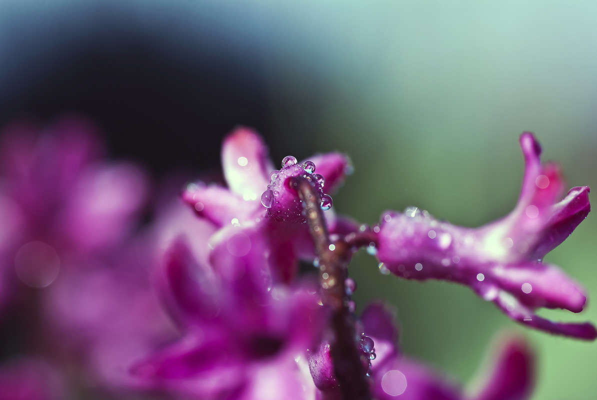 ����������� ����� ����� ����� ������� �� PhotoGeek.ru #�����