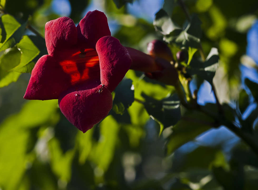 �������� ����� ����� ������� �� PhotoGeek.ru #�����