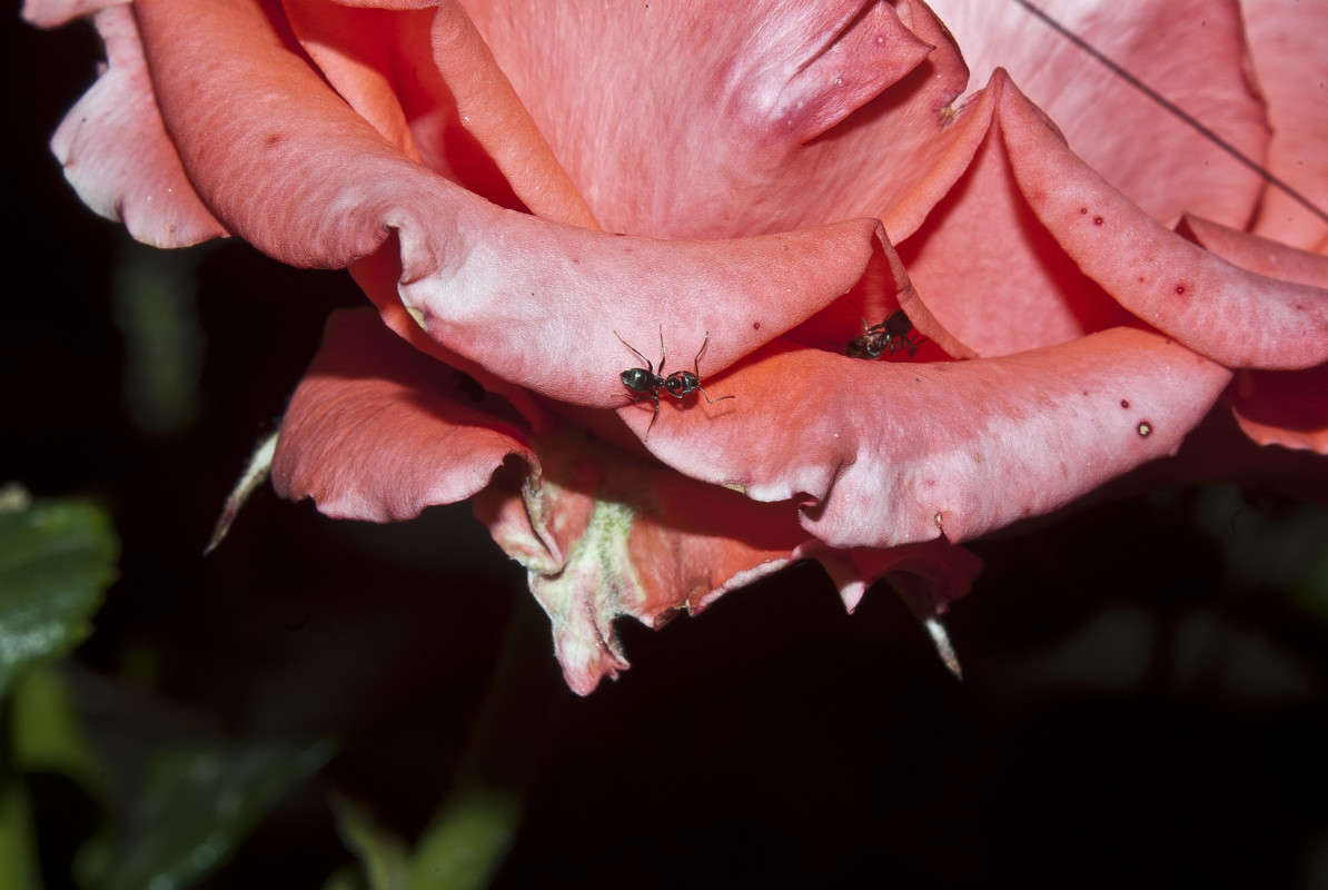 ������ ����� ����� ������� �� PhotoGeek.ru #�����