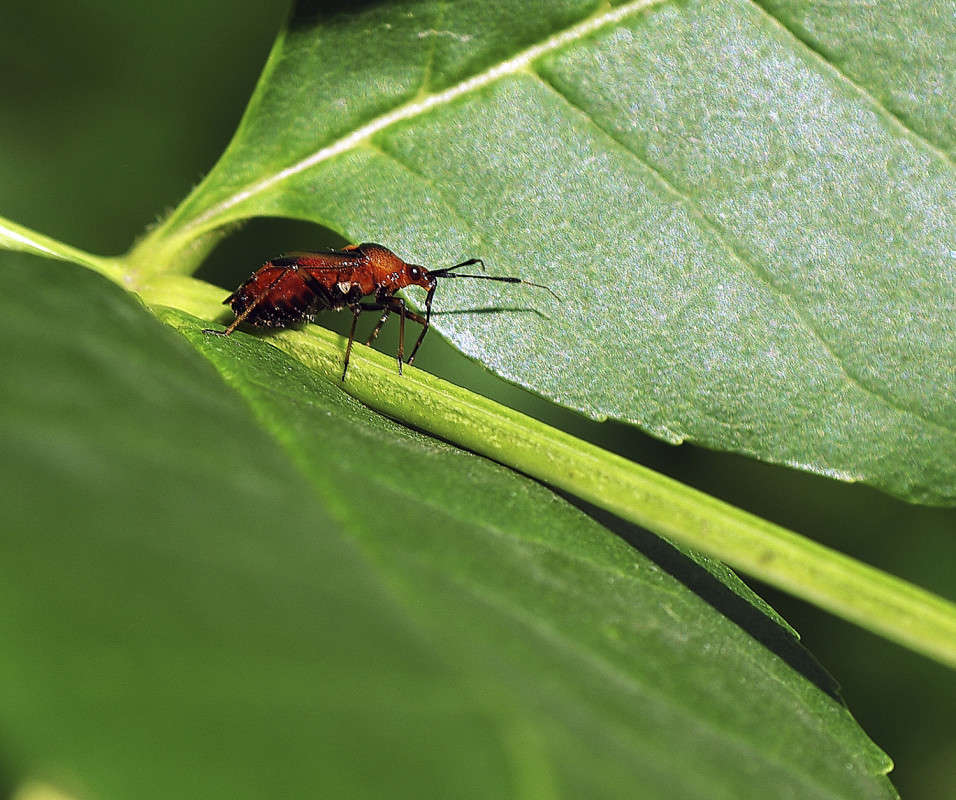 ����� ��� ����� ����� ������� �� PhotoGeek.ru #�����