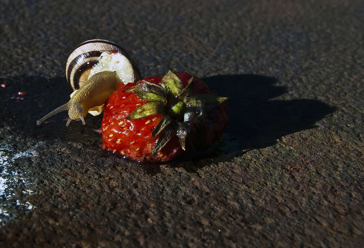 � ��, ���������.... ����� ����� ������� �� PhotoGeek.ru #�����