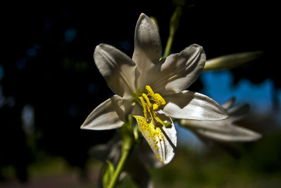 ������������ ����� ����� ������� �� PhotoGeek.ru #�����