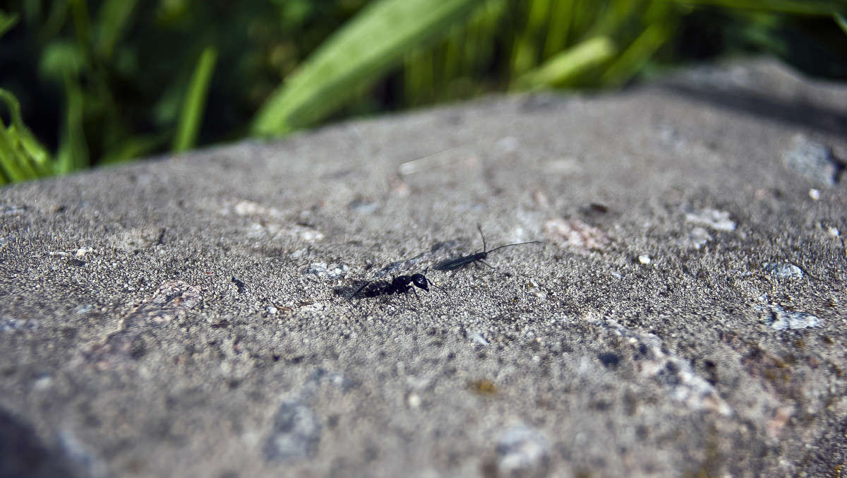 ���� ����� ����� ������� �� PhotoGeek.ru #�����