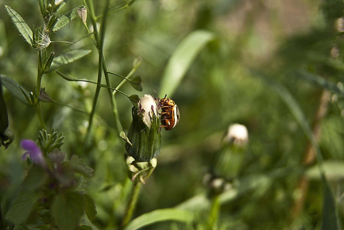 ...�������� - �� �������... ����� ����� ������� �� PhotoGeek.ru #�����