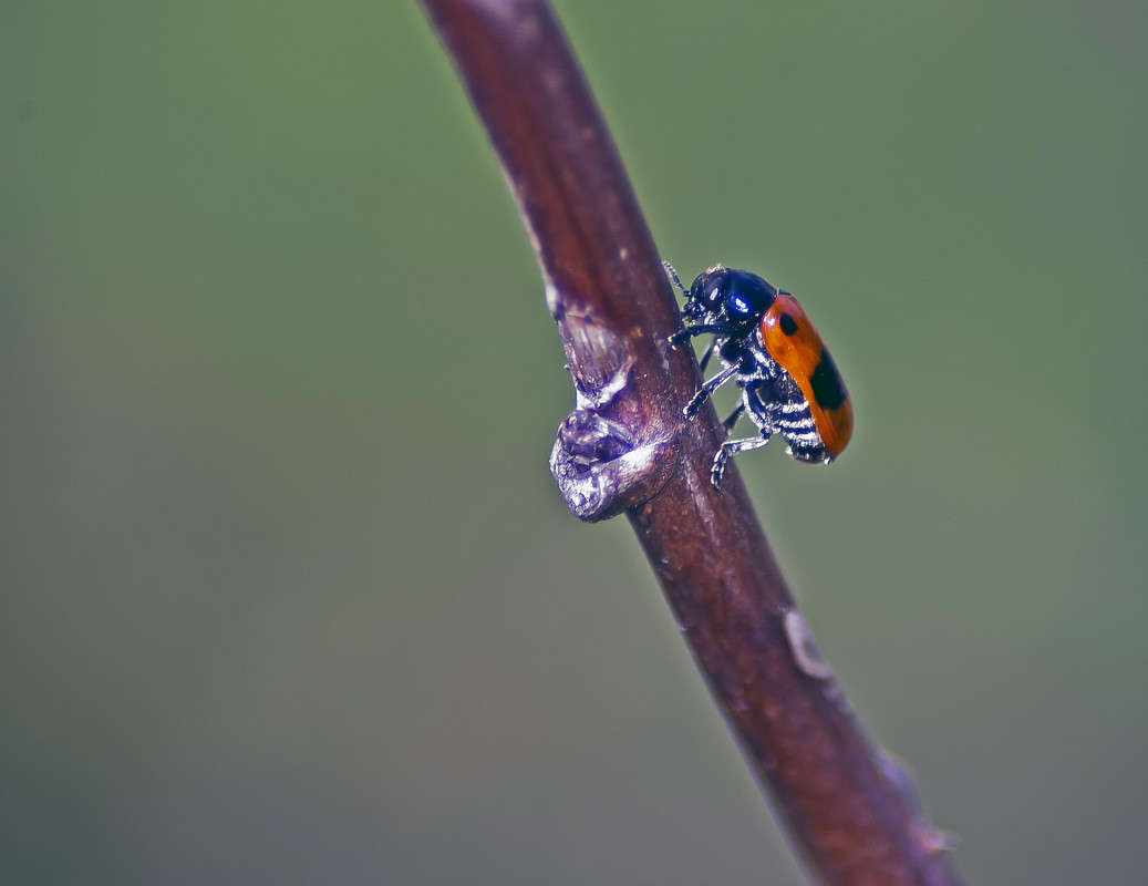 �������� ����� ����� ������� �� PhotoGeek.ru #�����