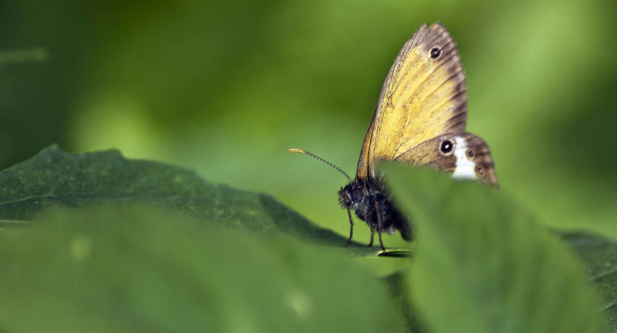 ��������������� ����� ����� ������� �� PhotoGeek.ru #�����