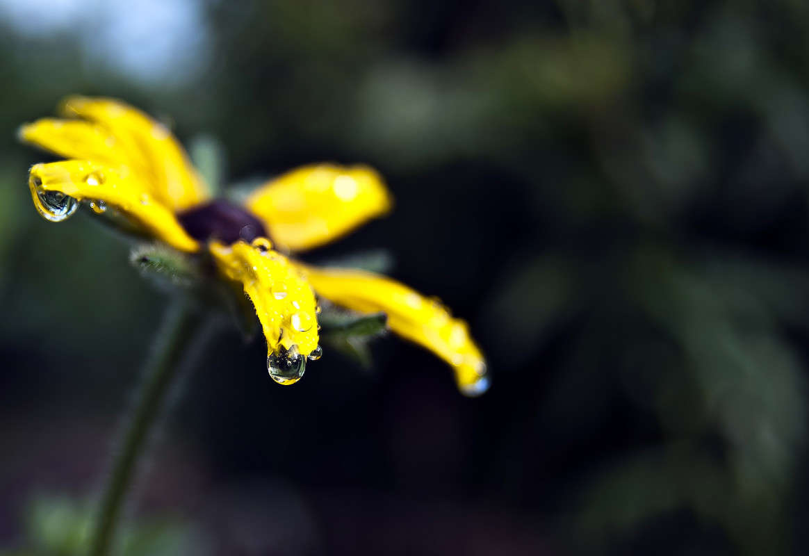 ����������� ����� ����� ����� ������� �� PhotoGeek.ru #�����