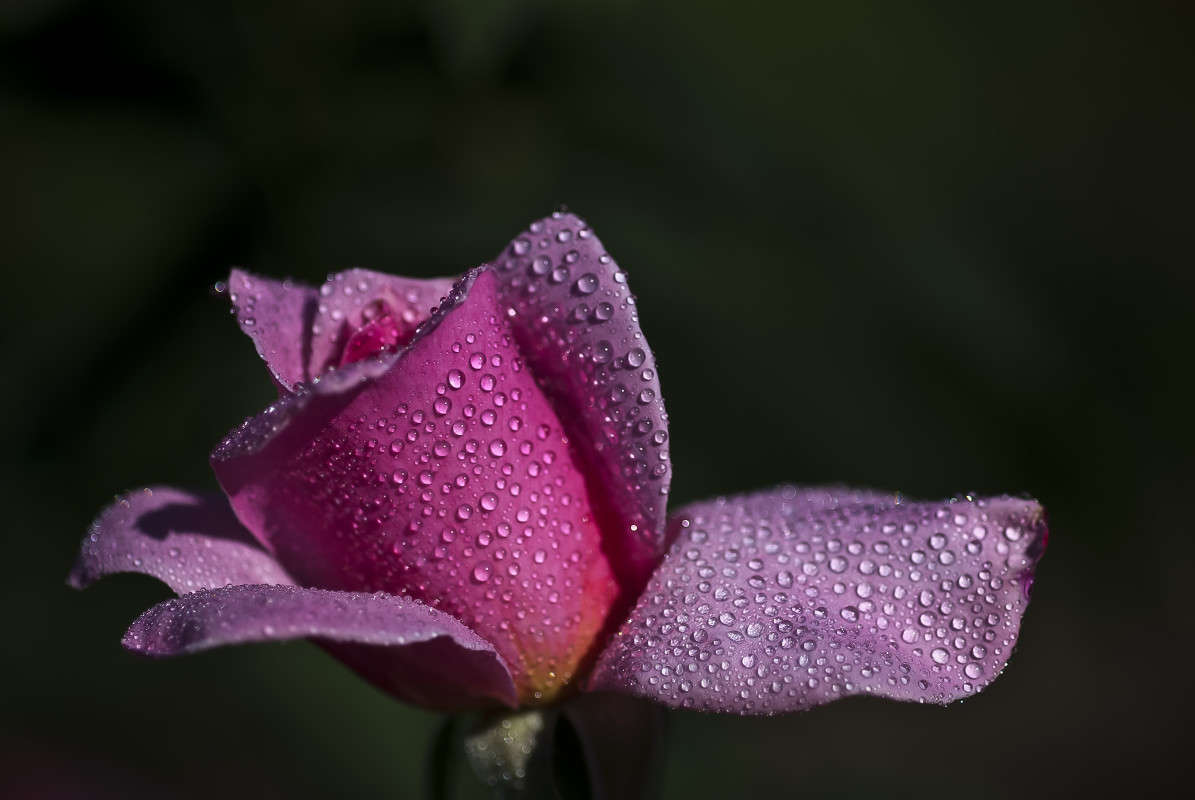 ������������� ����� ����� ������� �� PhotoGeek.ru #�����