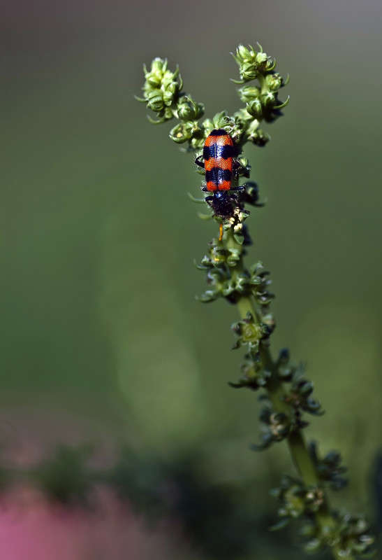 �� ������� ����� ����� ������� �� PhotoGeek.ru #�����