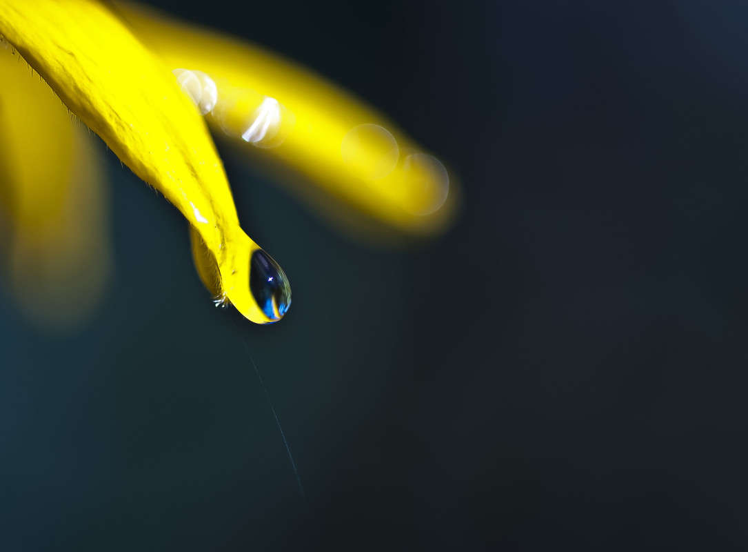 ����������� ����� ����� ����� ������� �� PhotoGeek.ru #�����