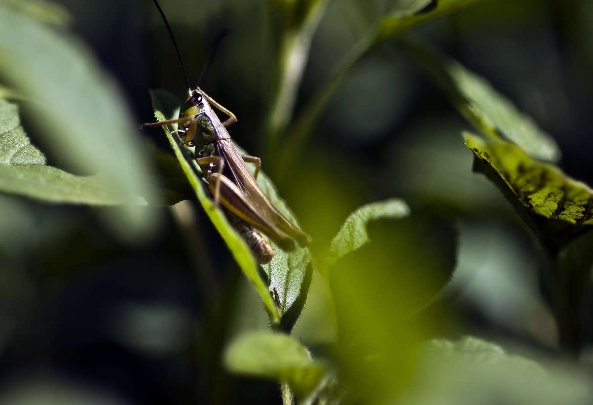 ...��� ��� �������... ����� ����� ������� �� PhotoGeek.ru #�����