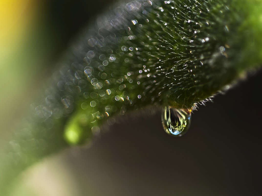 ����������� ����� ����� ����� ������� �� PhotoGeek.ru #�����