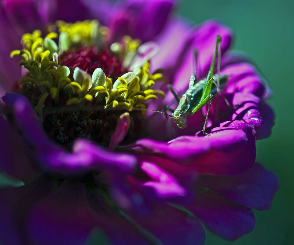 ������ ����� ����� ������� �� PhotoGeek.ru #�����