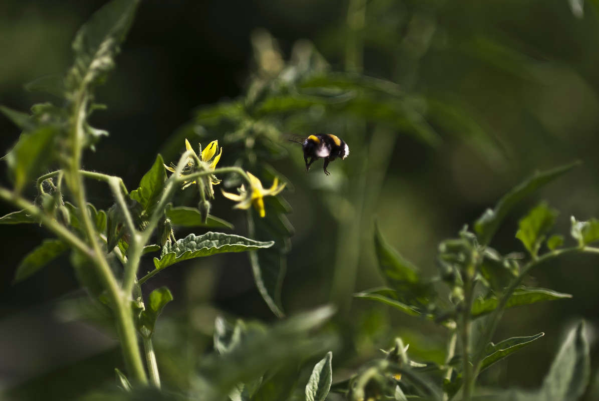 ���� !!! ����� ����� ������� �� PhotoGeek.ru #�����