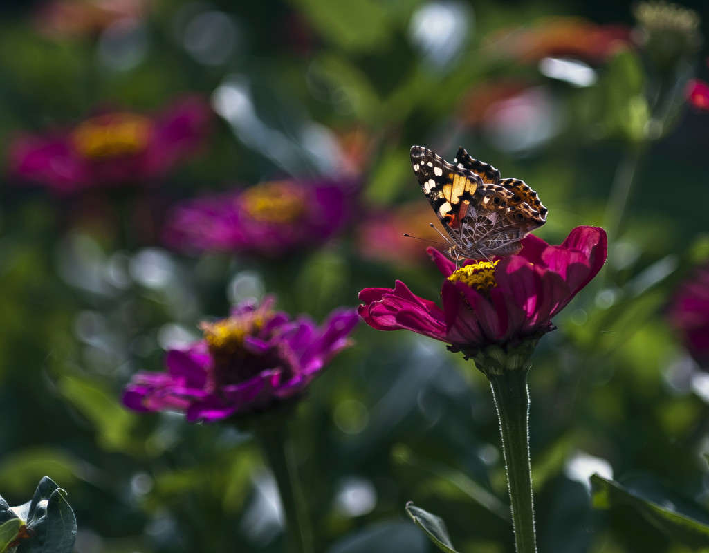 ������ ����� ����� ������� �� PhotoGeek.ru #�����