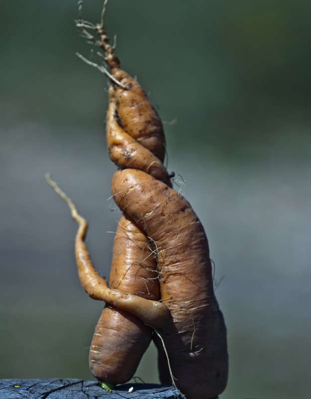 ������ - ������� ����� ����� ������� �� PhotoGeek.ru #�����