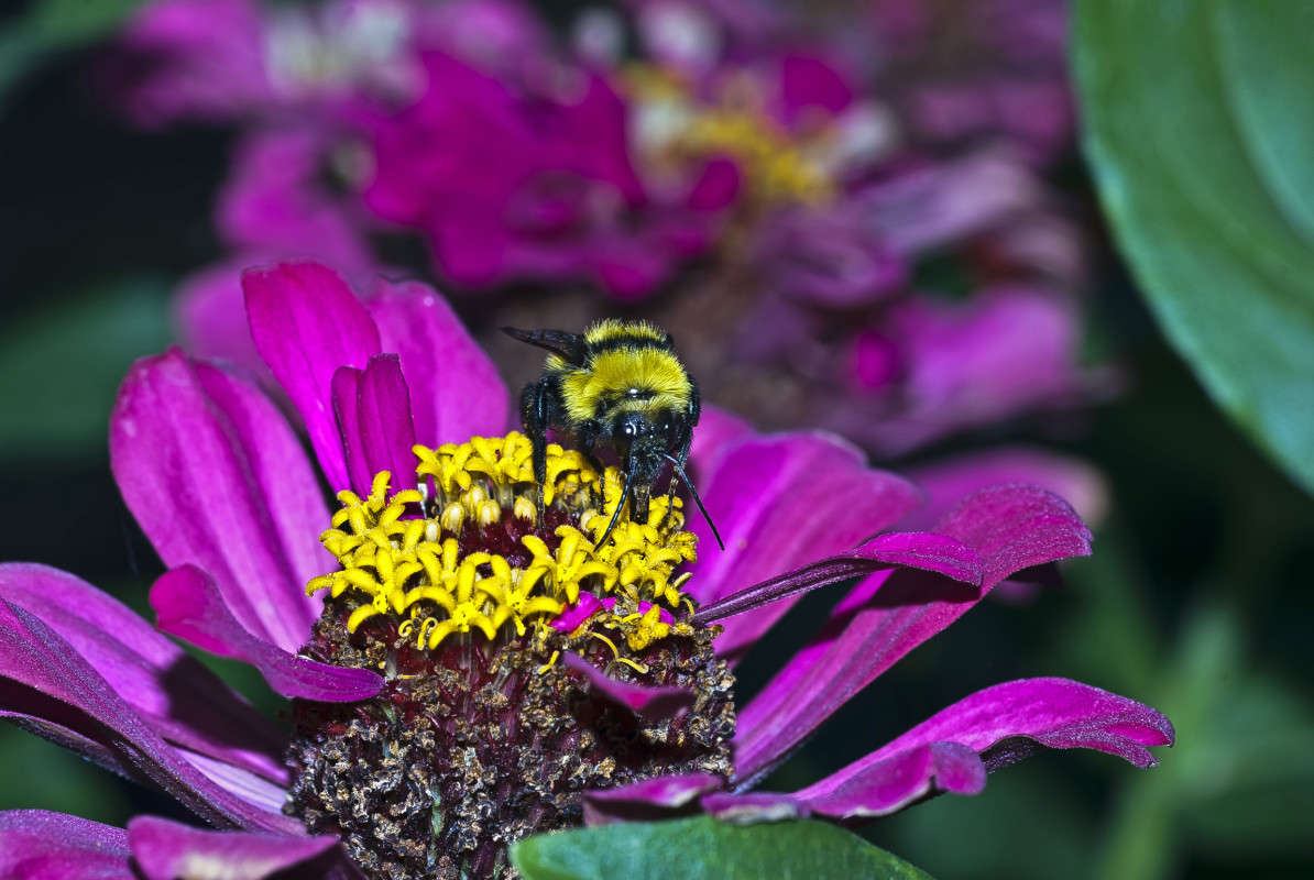 ������ ����� ����� ������� �� PhotoGeek.ru #�����