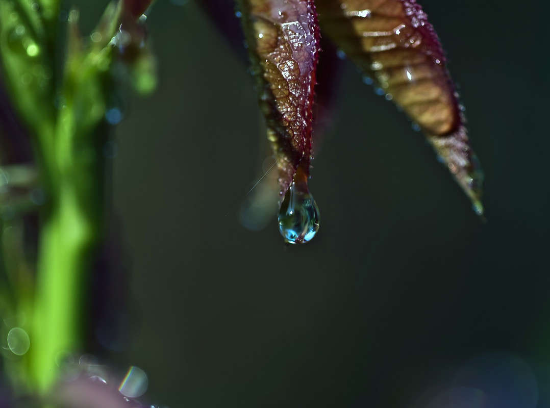 ��� - ���.... ����� ����� ������� �� PhotoGeek.ru #�����