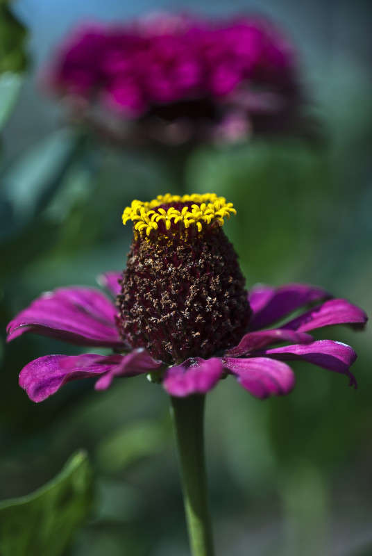 "�������" ����� ����� ������� �� PhotoGeek.ru #�����