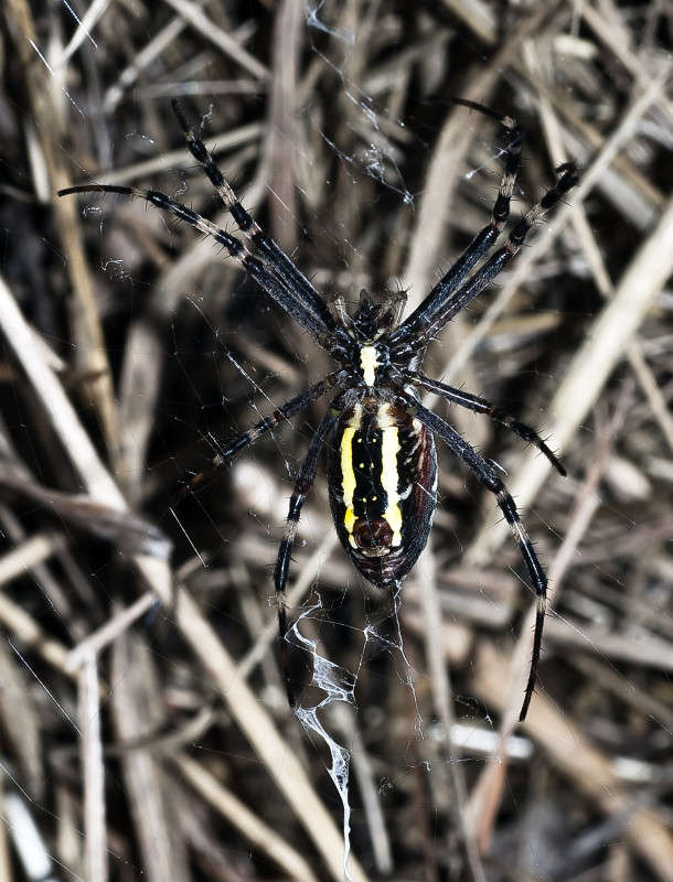 ������� ����� ����� ������� �� PhotoGeek.ru #�����