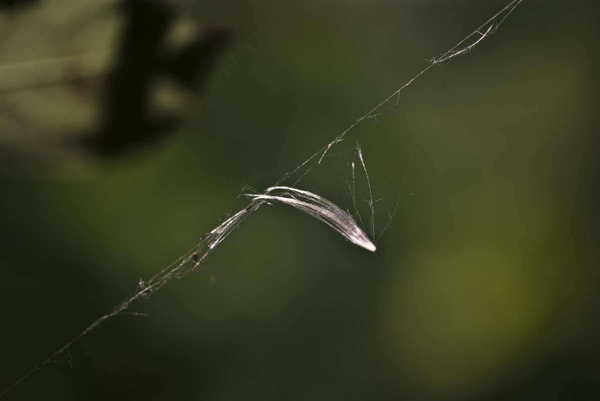 � ����� ����� ����� ������� �� PhotoGeek.ru #�����