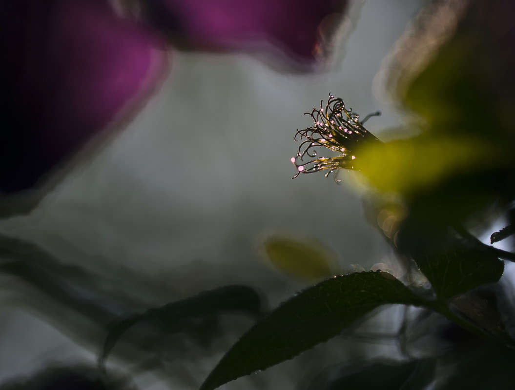 ����������� ����� ����� ����� ������� �� PhotoGeek.ru #�����