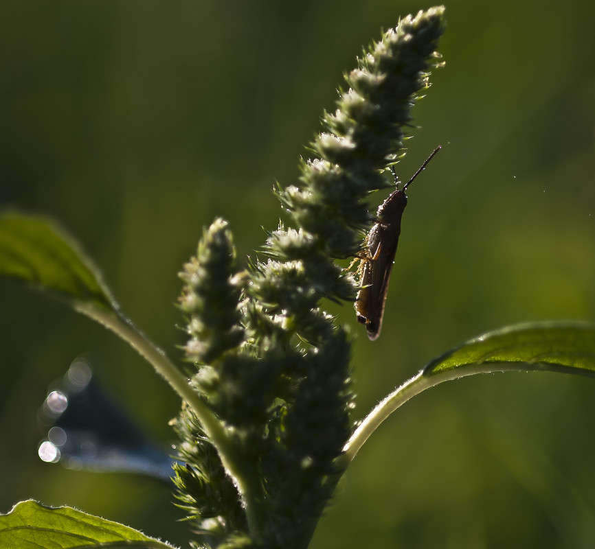 ������� ������� ����� ����� ������� �� PhotoGeek.ru #�����