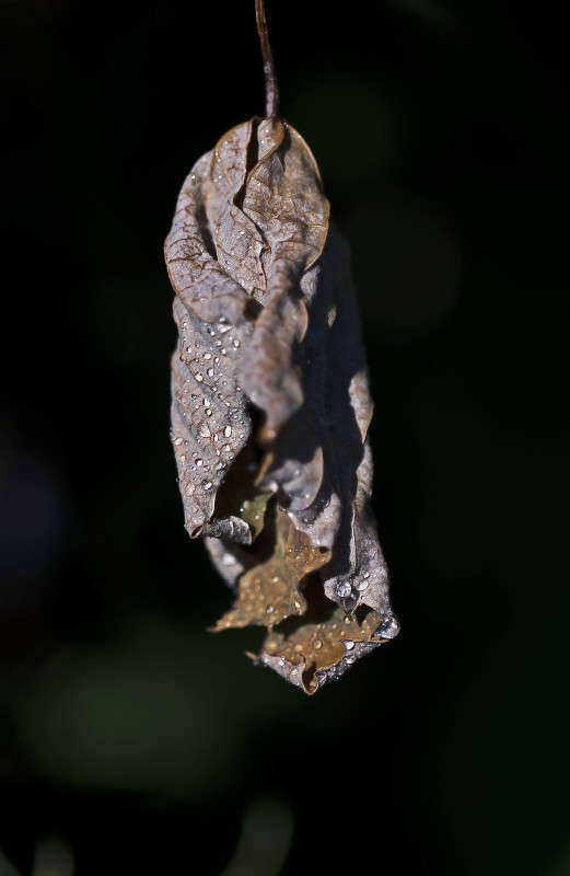 "����" ����� ����� ������� �� PhotoGeek.ru #�����