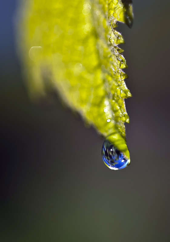 ��� - ���.... ����� ����� ������� �� PhotoGeek.ru #�����