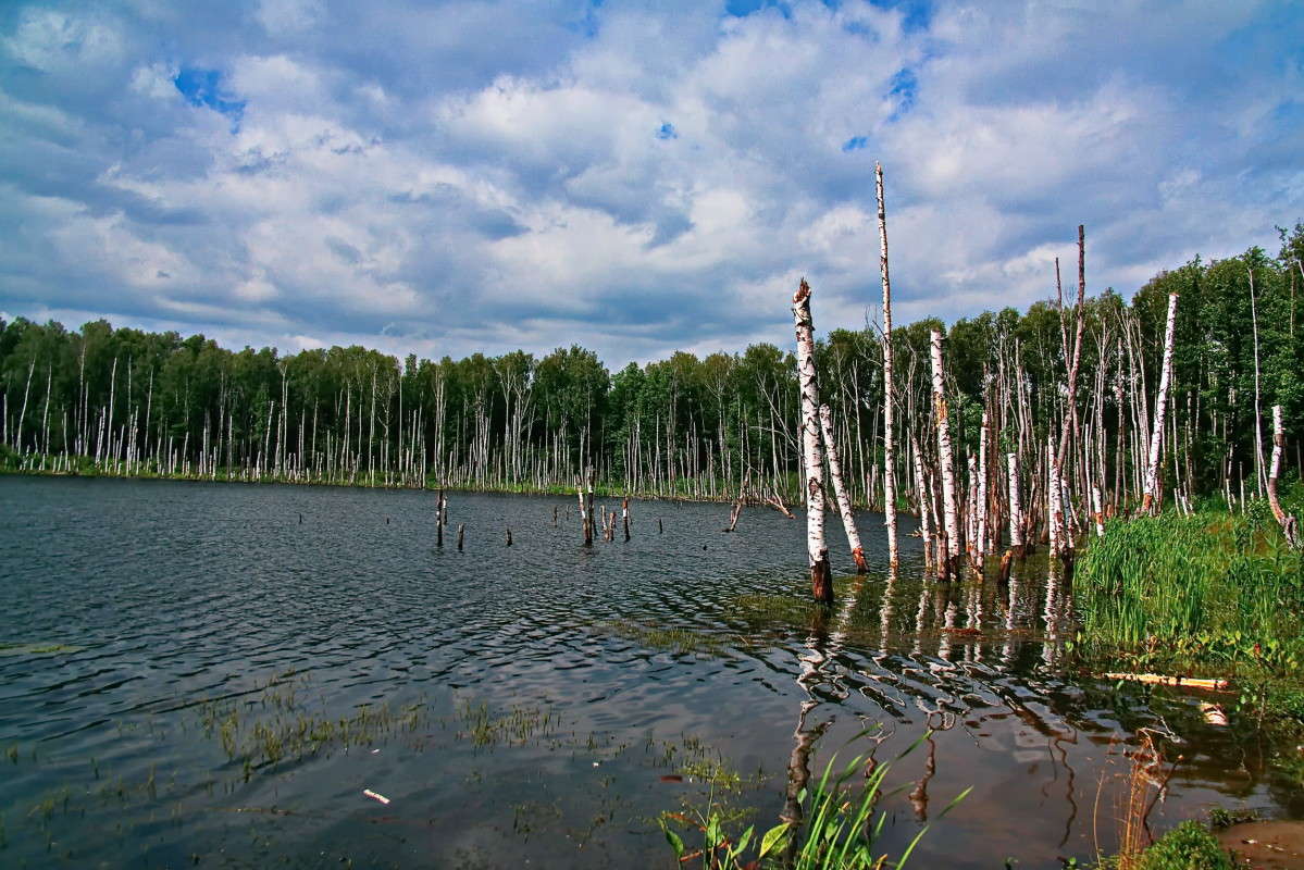 ������ ����� ����� vladimir tamoza �� PhotoGeek.ru #������ ��� ������� #����� ��������