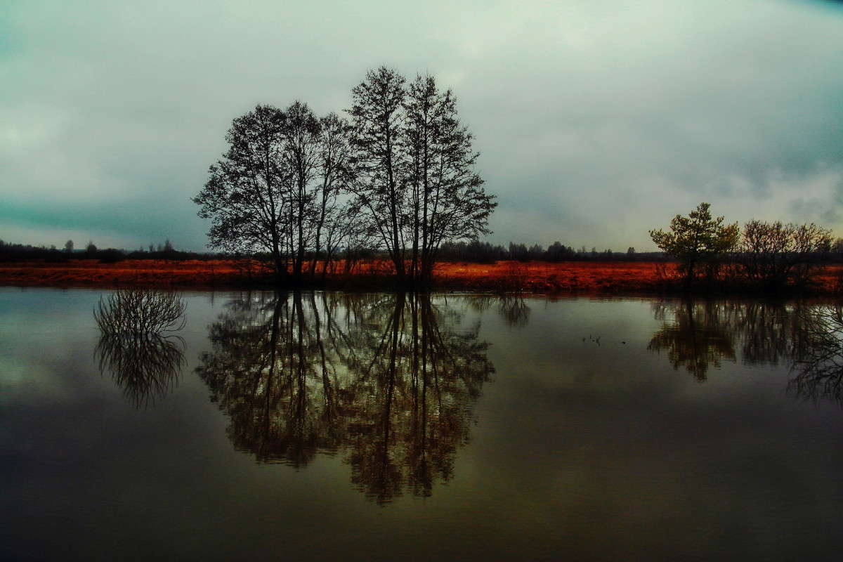 ... ����� vladimir tamoza �� PhotoGeek.ru #������ ��� ������� #������