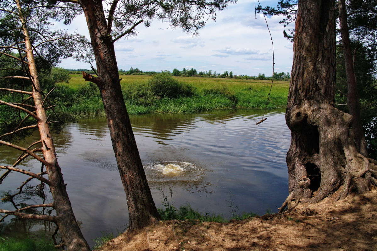 �� �����... ������ �����... ����� vladimir tamoza �� PhotoGeek.ru #������ ��� ������� #������