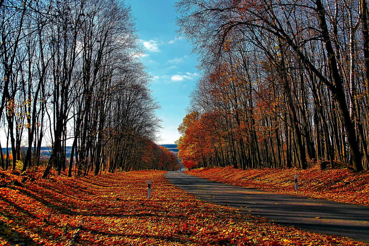 ������ � �����... ����� vladimir tamoza �� PhotoGeek.ru #������ ��� ������� #������