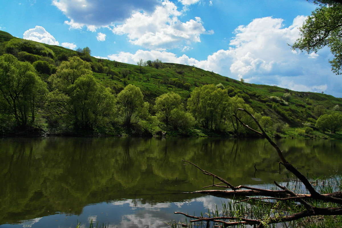 ������ ����... ����� vladimir tamoza �� PhotoGeek.ru #������ ��� ������� #������