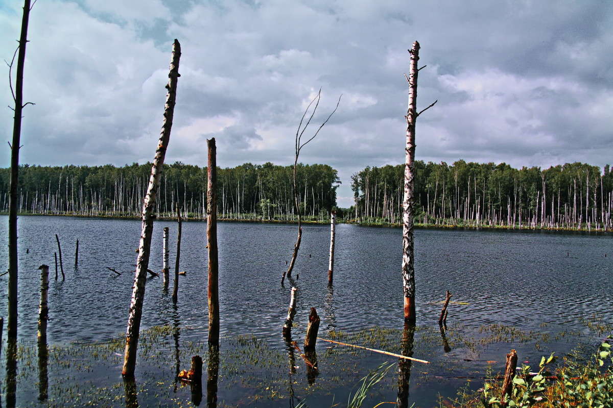 ����� ����� vladimir tamoza �� PhotoGeek.ru #������ ��� ������� #������